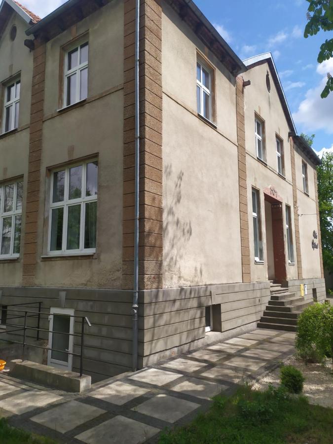Feniks Pokoje Goscinne Malbork Exterior photo